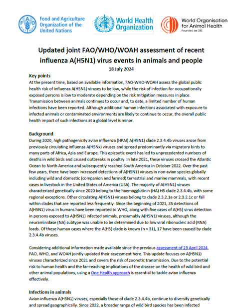 Updated joint FAO/WHO/WOAH assessment of recent influenza A(H5N1) virus events in animals and people