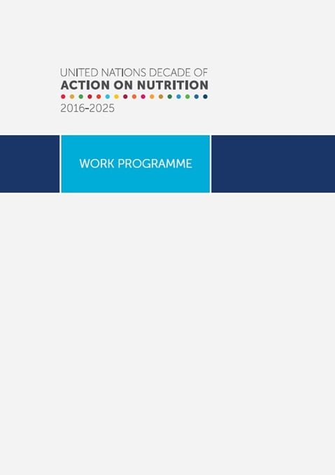 UN Decade of Action on Nutrition 2016-2025: Work programme