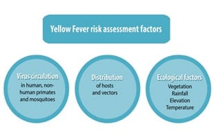 yellow fever chart
