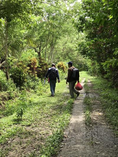 Malaria baseline data collection Malaria baseline data collection