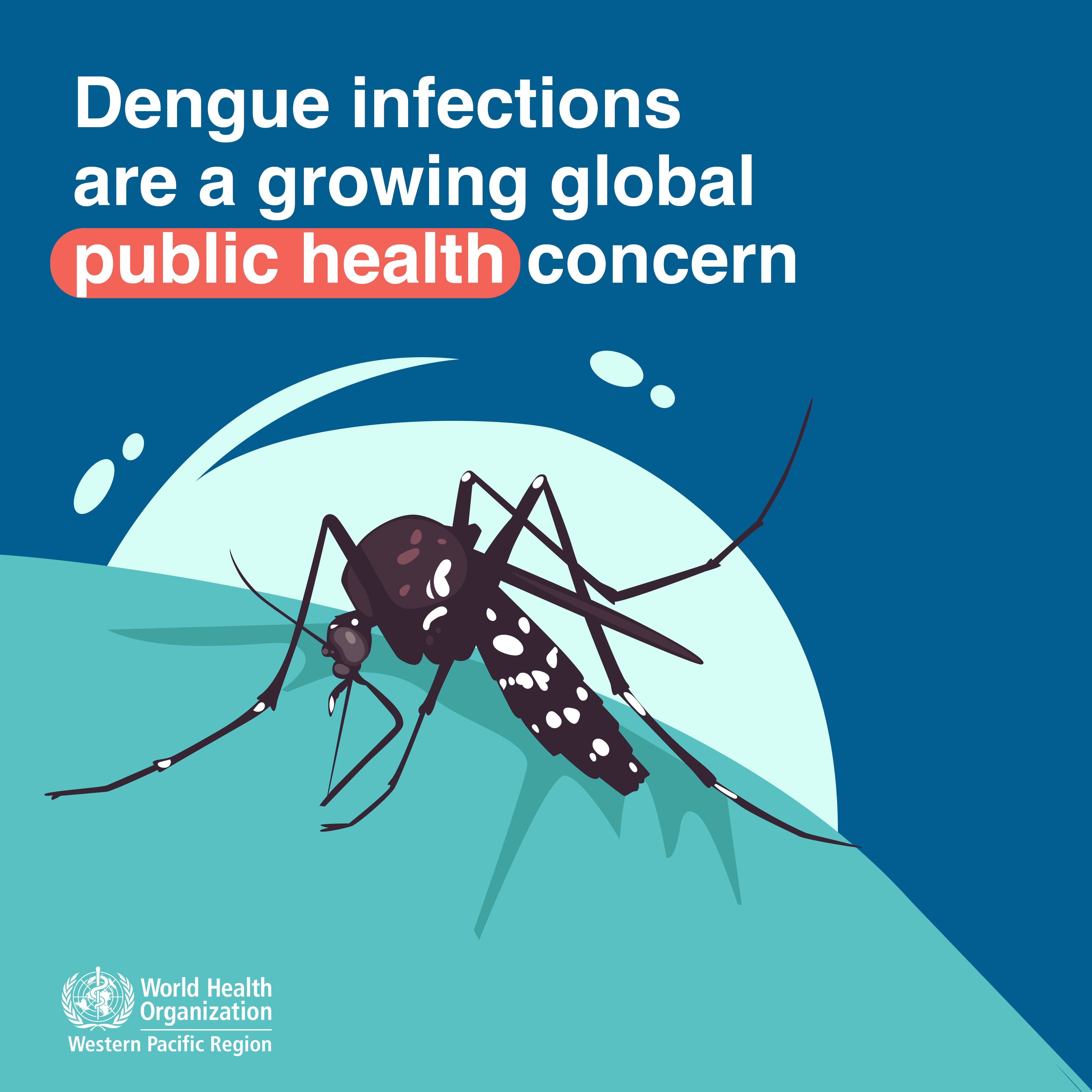 Dengue infections are a growing global public health concern